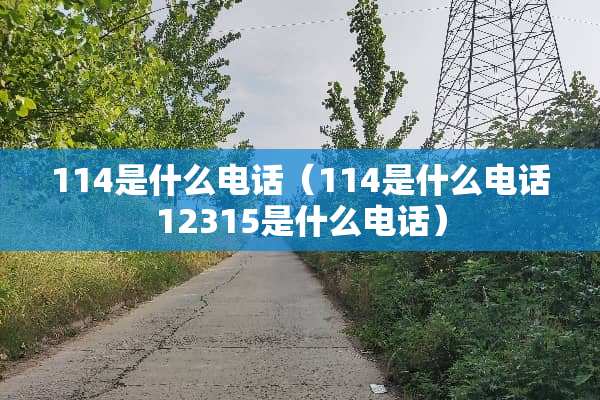 114是什么电话（114是什么电话12315是什么电话）