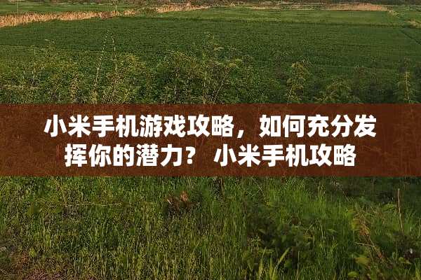 小米手机游戏攻略，如何充分发挥你的潜力？ 小米手机攻略