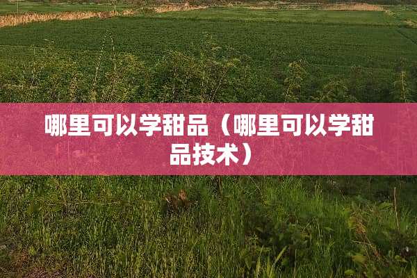 哪里可以学甜品（哪里可以学甜品技术）