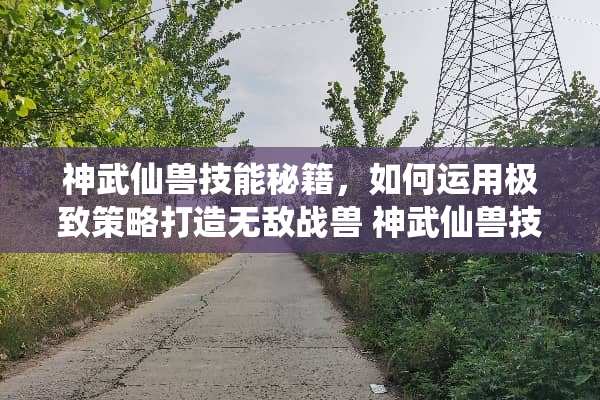 神武仙兽技能秘籍，如何运用极致策略打造无敌战兽 神武仙兽技能