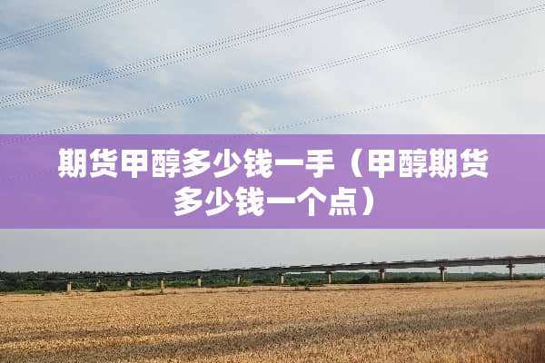 期货甲醇多少钱一手（甲醇期货多少钱一个点）