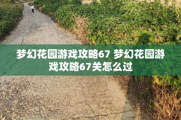 梦幻花园游戏攻略67 梦幻花园游戏攻略67关怎么过