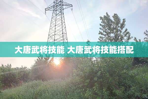 大唐武将技能 大唐武将技能搭配