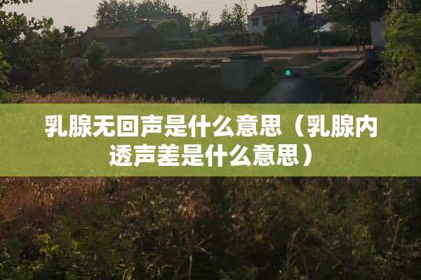 *腺无回声是什么意思（*腺内透声差是什么意思）