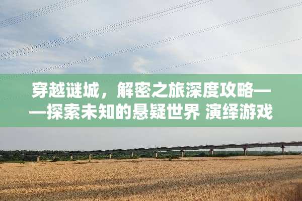 穿越谜城，解密之旅深度攻略——探索未知的悬疑世界 演绎游戏攻略