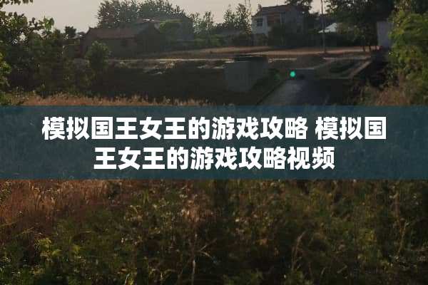 模拟国王女王的游戏攻略 模拟国王女王的游戏攻略视频