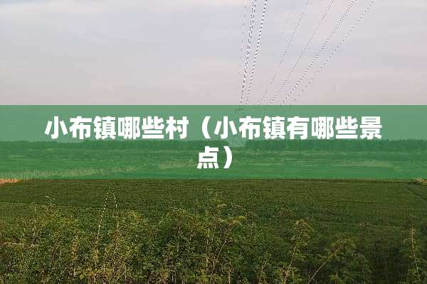 小布镇哪些村（小布镇有哪些景点）