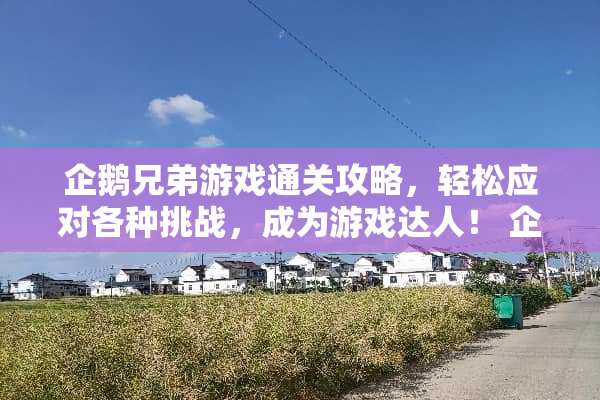 企鹅兄弟游戏通关攻略，轻松应对各种挑战，成为游戏达人！ 企鹅兄弟游戏通关攻略