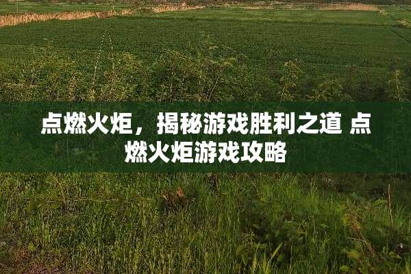 点燃火炬，揭秘游戏胜利之道 点燃火炬游戏攻略