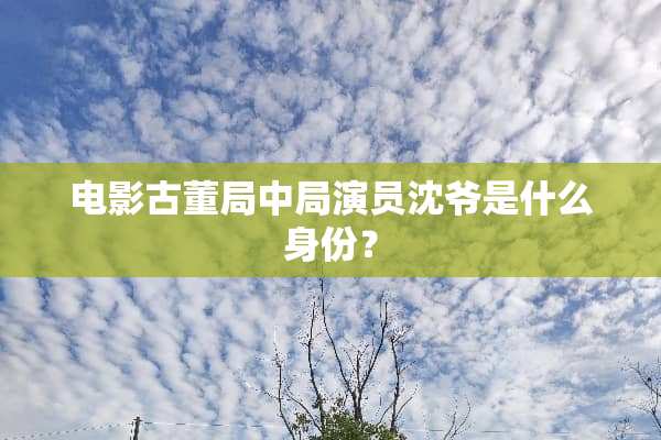 电影古董局中局演员沈爷是什么身份？