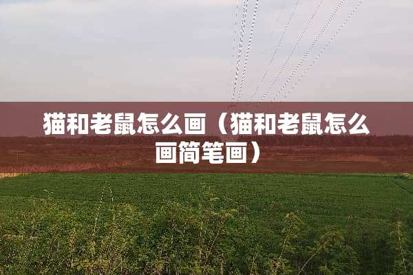 猫和老鼠怎么画（猫和老鼠怎么画简笔画）