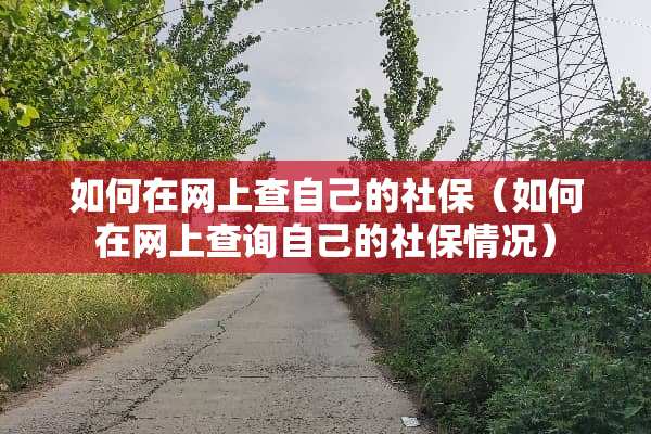 如何在网上查自己的社保（如何在网上查询自己的社保情况）