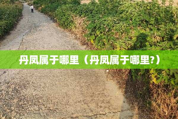 丹凤属于哪里（丹凤属于哪里?）