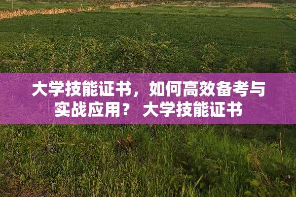 大学技能证书，如何高效备考与实战应用？ 大学技能证书