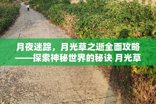 月夜迷踪，月光草之逝全面攻略——探索神秘世界的秘诀 月光草之逝攻略