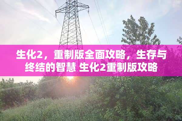 生化2，重制版全面攻略，生存与终结的智慧 生化2重制版攻略
