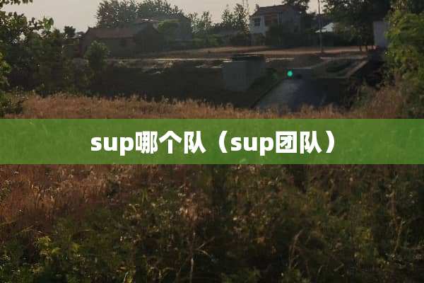 sup哪个队（sup团队）