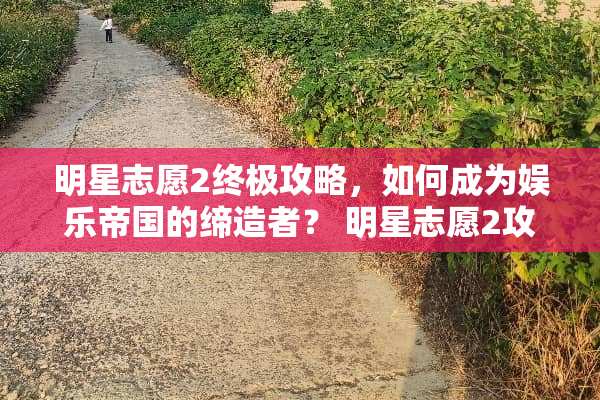 明星志愿2终极攻略，如何成为娱乐帝国的缔造者？ 明星志愿2攻略