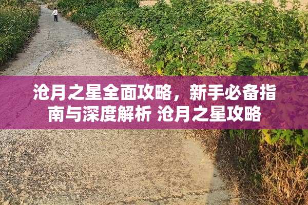沧月之星全面攻略，新手必备指南与深度解析 沧月之星攻略