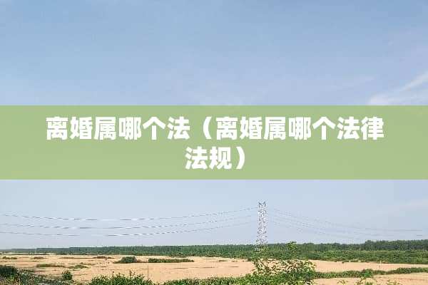 **属哪个法（**属哪个法律法规）