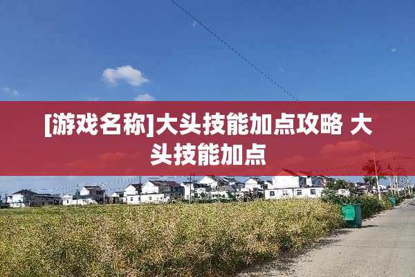 [游戏名称]大头技能加点攻略 大头技能加点