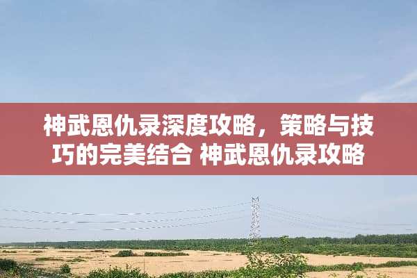神武恩仇录深度攻略，策略与技巧的完美结合 神武恩仇录攻略