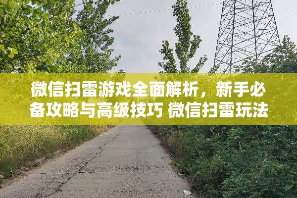 微信扫雷游戏全面解析，新手必备攻略与高级技巧 微信扫雷玩法规则