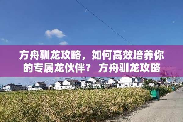 方舟驯龙攻略，如何高效培养你的专属龙伙伴？ 方舟驯龙攻略