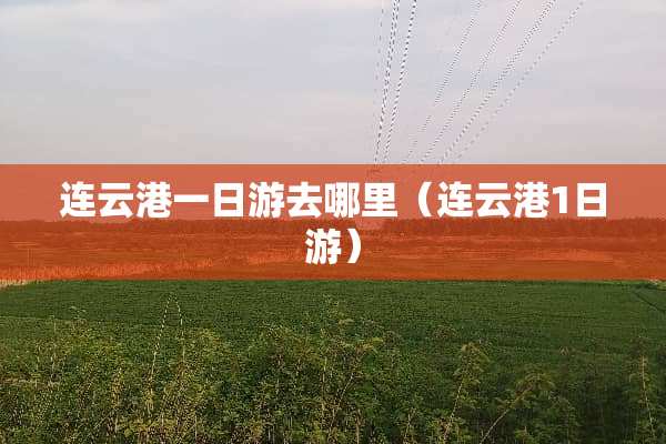 连云港一日游去哪里（连云港1日游）