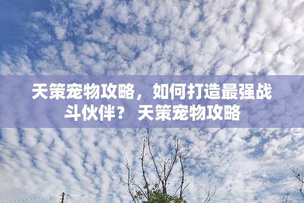 天策宠物攻略，如何打造最强战斗伙伴？ 天策宠物攻略