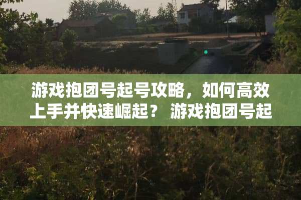 游戏抱团号起号攻略，如何高效上手并快速崛起？ 游戏抱团号起号攻略