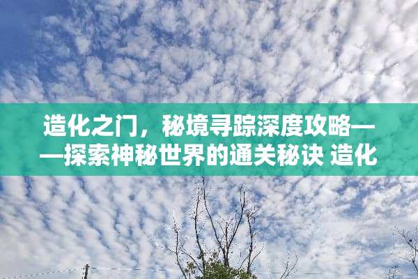 造化之门，秘境寻踪深度攻略——探索神秘世界的通关秘诀 造化之门游戏攻略
