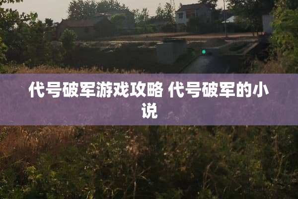 代号破军游戏攻略 代号破军的小说