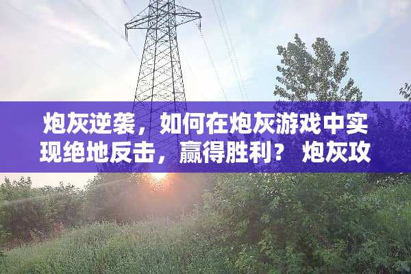 *灰逆袭，如何在*灰游戏中实现绝地反击，赢得胜利？*灰攻略结局