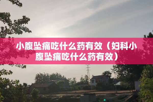 小腹坠痛吃什么药有效（妇科小腹坠痛吃什么药有效）