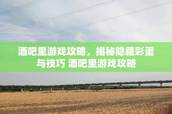 酒吧里游戏攻略，揭秘隐藏彩蛋与技巧 酒吧里游戏攻略