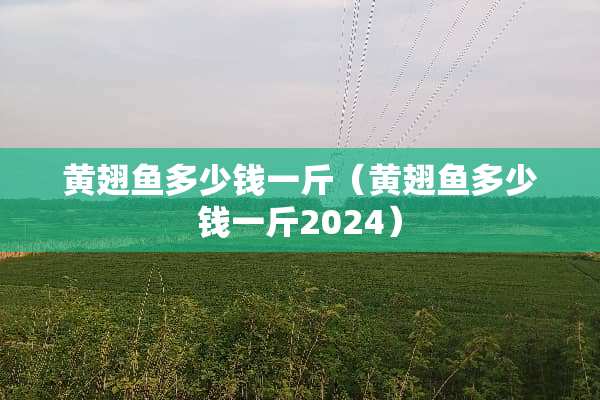 黄翅鱼多少钱一斤（黄翅鱼多少钱一斤2024）