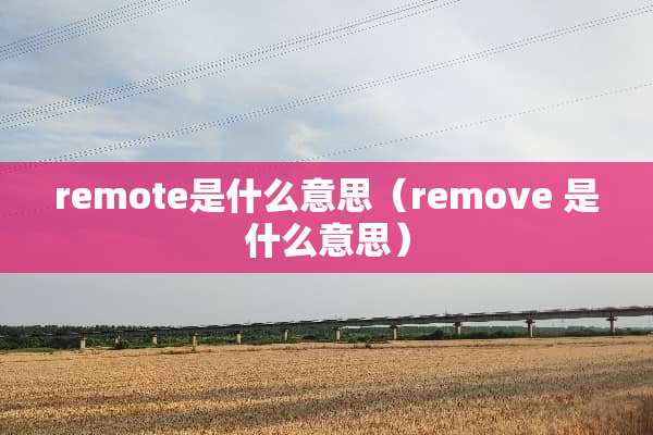 remote是什么意思（remove 是什么意思）
