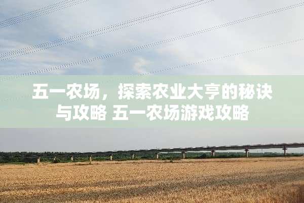 五一农场，探索农业大亨的秘诀与攻略 五一农场游戏攻略