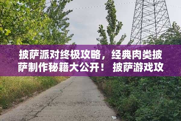 披萨派对终极攻略，经典肉类披萨制作秘籍大公开！ 披萨游戏攻略经典肉类