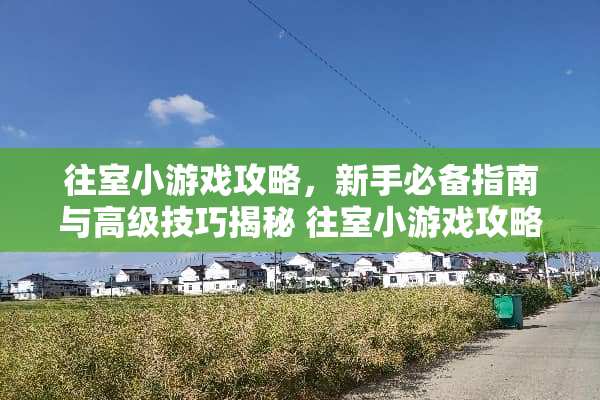 往室小游戏攻略，新手必备指南与高级技巧揭秘 往室小游戏攻略