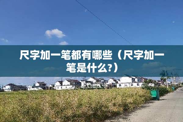 尺字加一笔都有哪些（尺字加一笔是什么?）