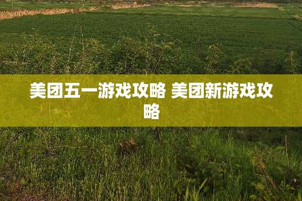 美团五一游戏攻略 美团新游戏攻略