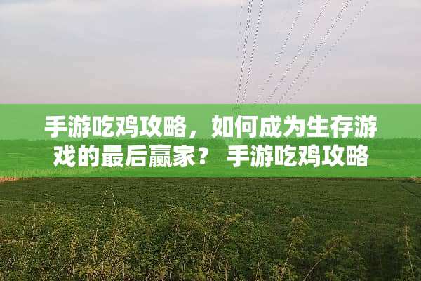 手游吃鸡攻略，如何成为生存游戏的最后**？ 手游吃鸡攻略