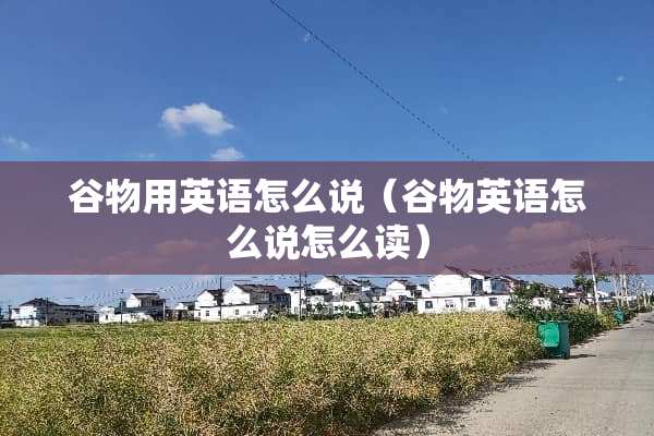 谷物用英语怎么说（谷物英语怎么说怎么读）