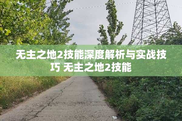 无主之地2技能深度解析与实战技巧 无主之地2技能