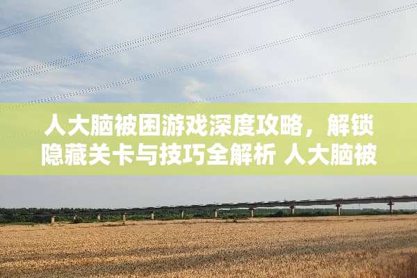 **脑被困游戏深度攻略，解锁隐藏关卡与技巧全解析**脑被困游戏攻略