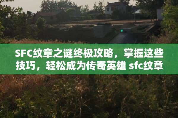 SFC纹章之谜终极攻略，掌握这些技巧，轻松成为传奇英雄 sfc纹章之谜攻略