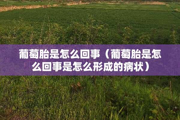 葡萄胎是怎么回事（葡萄胎是怎么回事是怎么形成的病状）