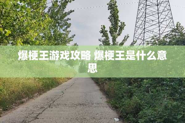 爆梗王游戏攻略 爆梗王是什么意思